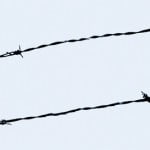 torture_victims_day_logo