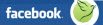 IBfacebookmini