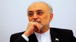 Iran nuclear chief: Construction of nuclear plants going well