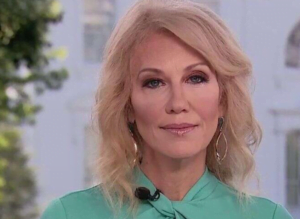 Israeli legislature presses Twitter on 'double standard' between Iran's 'genocide' tweets and Trump's