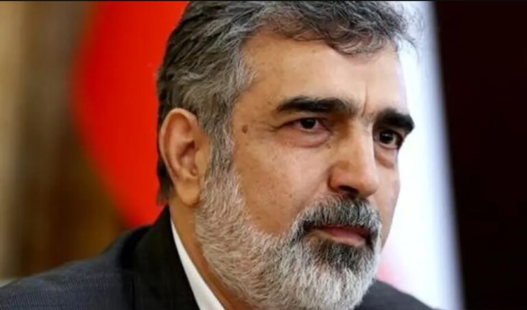 Iran Spokesman, Parliament Deputy Criticize UN Nuclear Agency